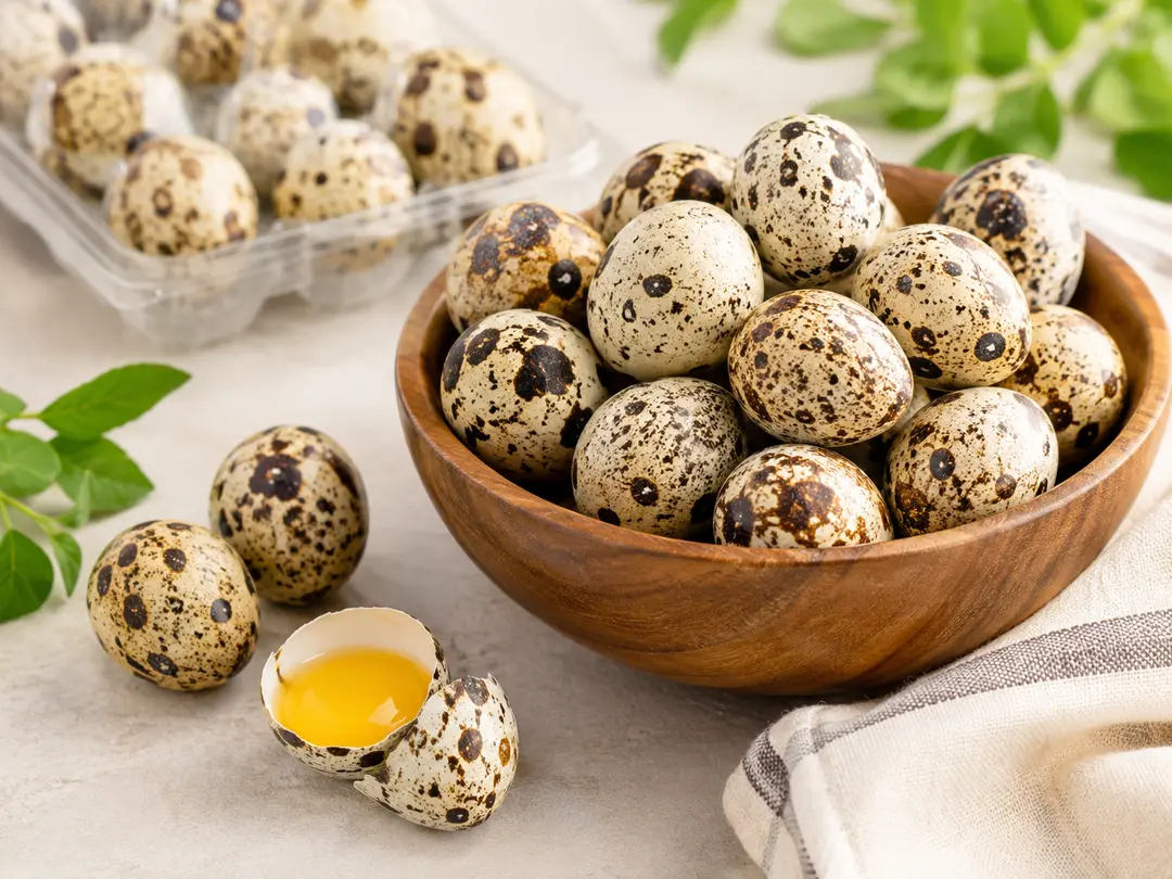 Huevos de Codorniz